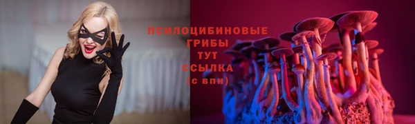 бошки Вяземский