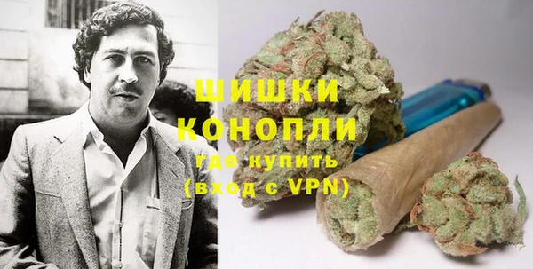 spice Верея