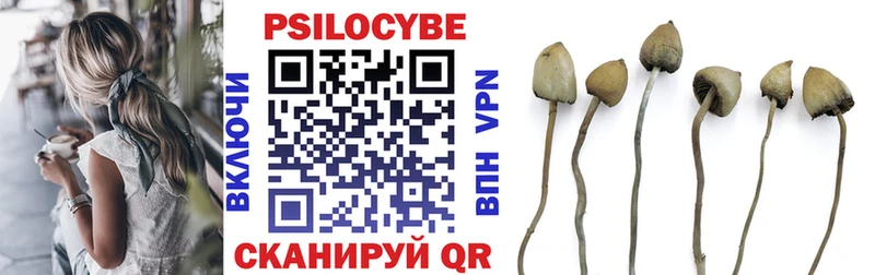 что такое наркотик  Заозёрный  Галлюциногенные грибы MAGIC MUSHROOMS 